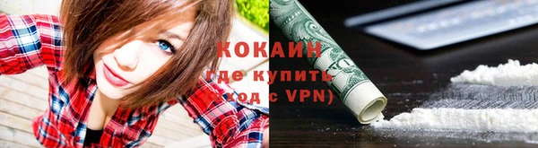spice Богородицк