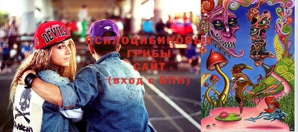 spice Богородицк