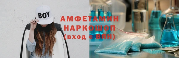 spice Богородицк