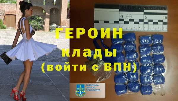 spice Богородицк