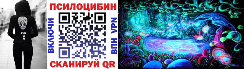 хочу   Верхняя Тура  Псилоцибиновые грибы Cubensis 
